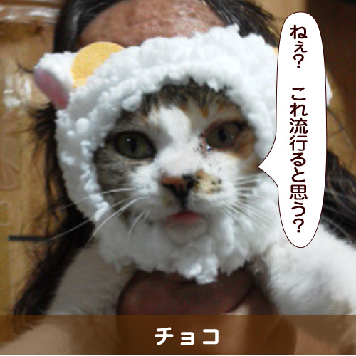 20160911_touko.jpg
