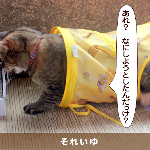 20160912_touko.jpg