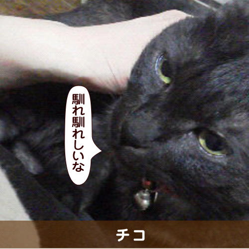 20160913_touko.jpg