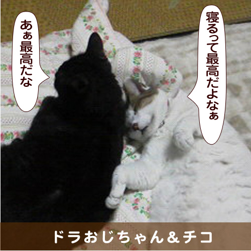 20160914_touko.jpg