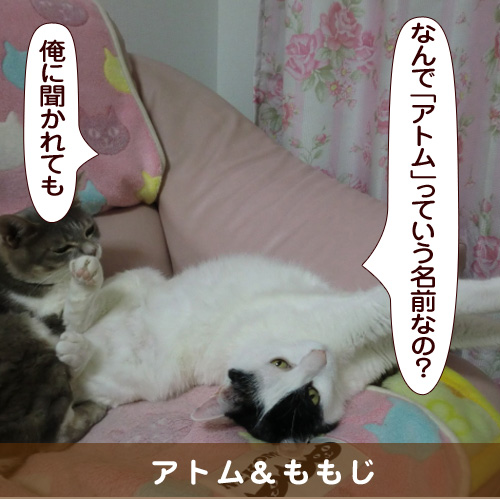 20160915_touko.jpg