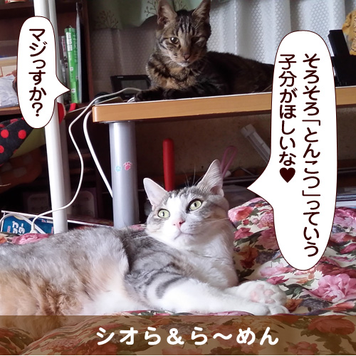 20160916_touko.jpg