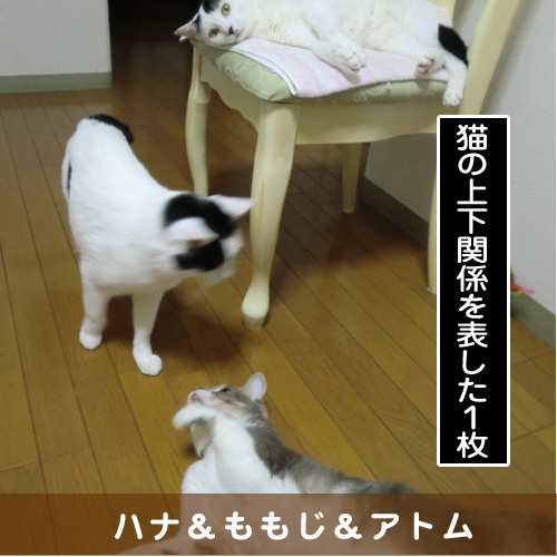 20160917_touko.jpg