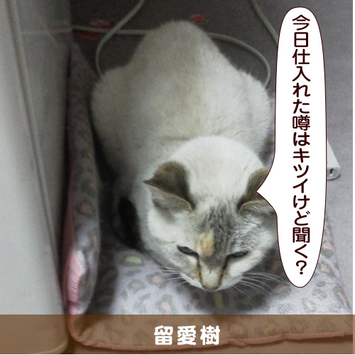 20160918_touko.jpg