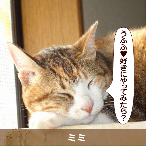 20160922_touko.jpg