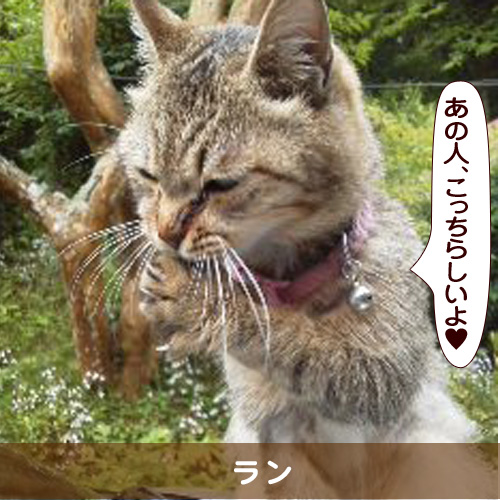 20160928_touko.jpg