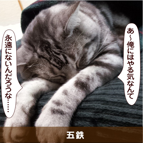 20160929_touko.jpg