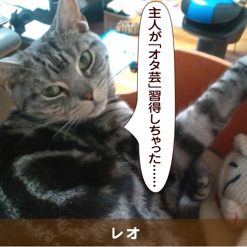 20161006_touko.jpg