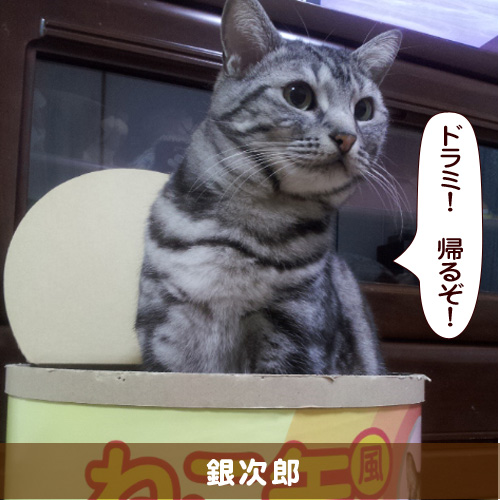 20161007_touko.jpg