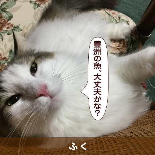 20161008_touko.jpg