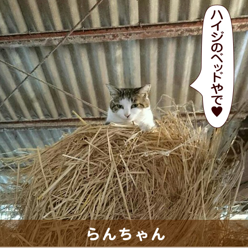 20161011_touko.jpg