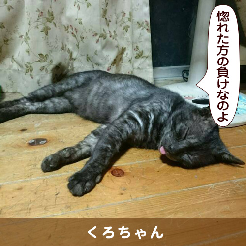 20161012_touko.jpg