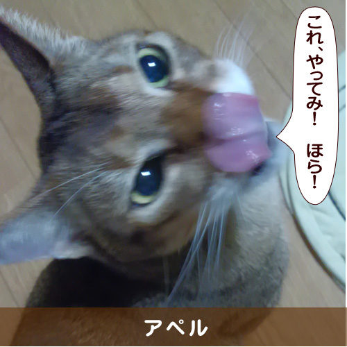 20161017_touko.jpg