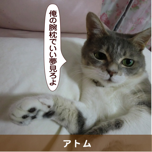 20161018_touko.jpg