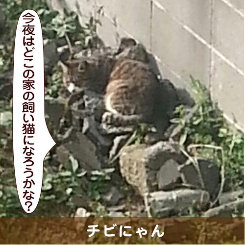 20161027_touko.jpg