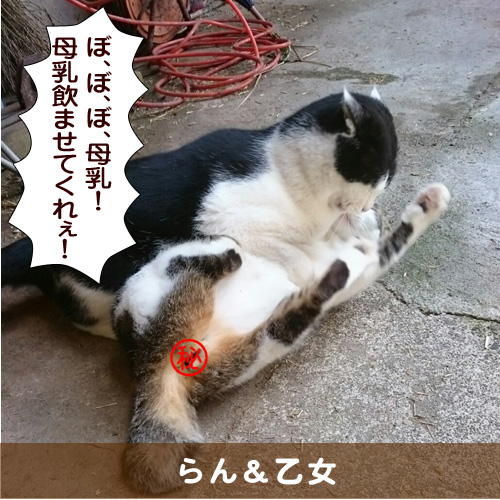 20161030_touko.jpg