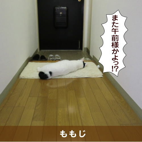 20161104_touko.jpg