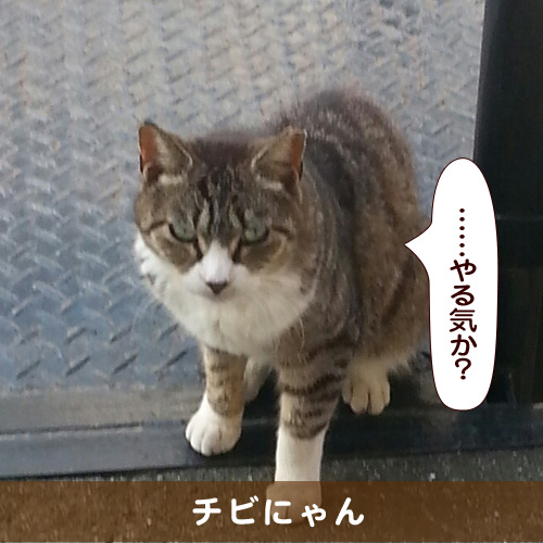 20161106_touko.jpg