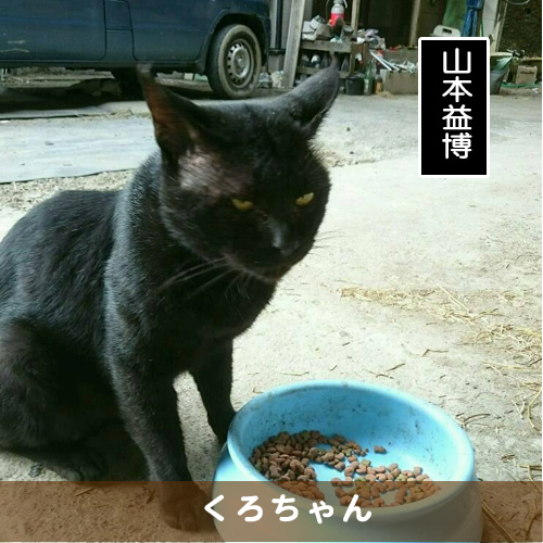 20161108_touko.jpg
