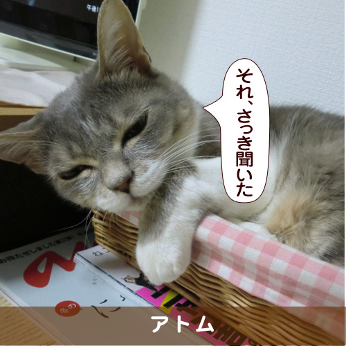 20161110_touko.jpg