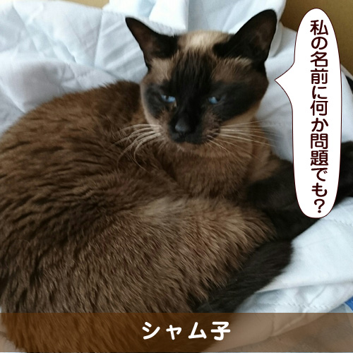 20161115_touko.jpg