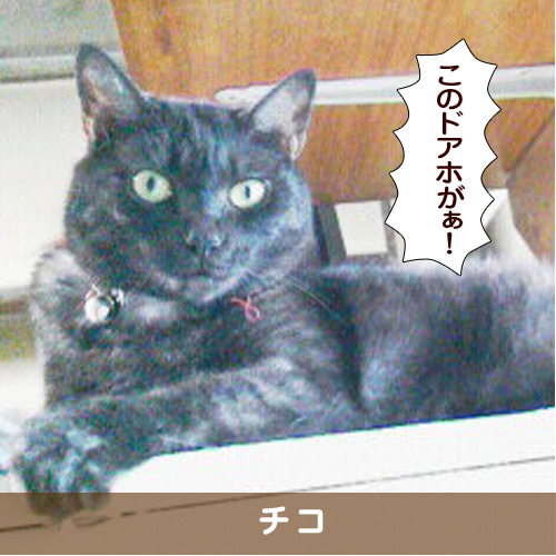 20161124_touko.jpg
