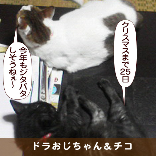20161130_touko.jpg