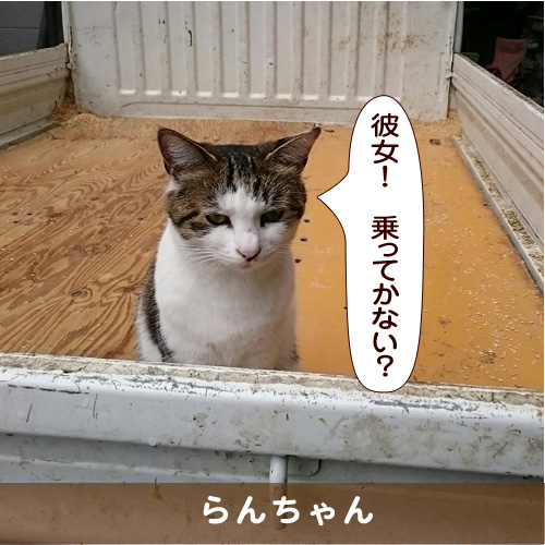 20161205_touko.jpg