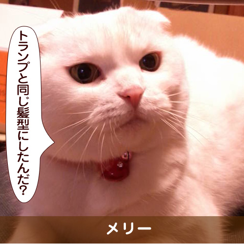 20161207_touko.jpg