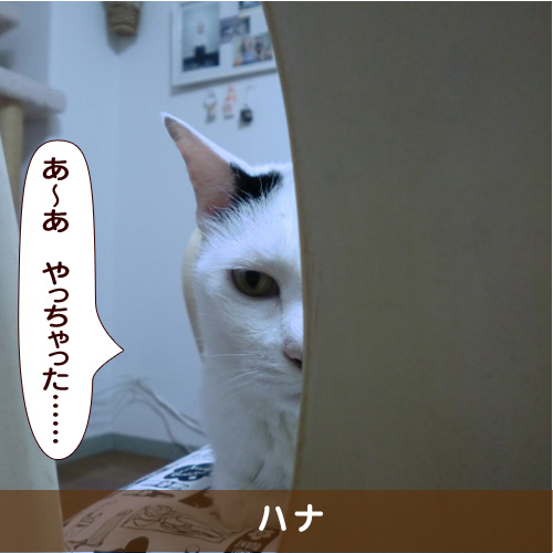 20161210_touko.jpg