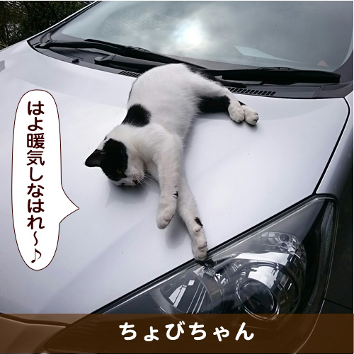 20161212_touko.jpg