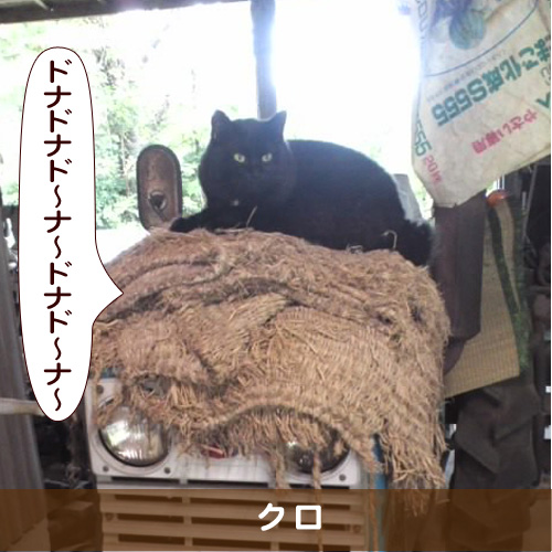 20161214_touko.jpg