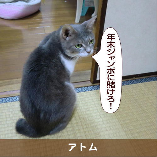 20161216_touko.jpg