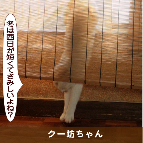 20161219_touko.jpg