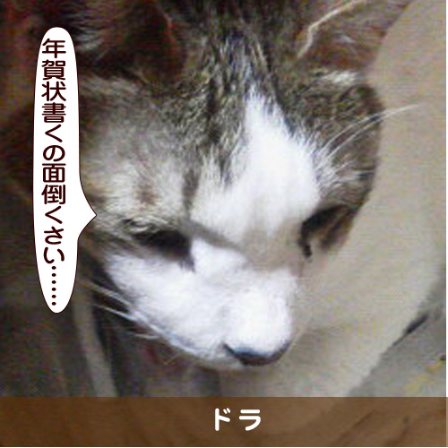 20161221_touko.jpg
