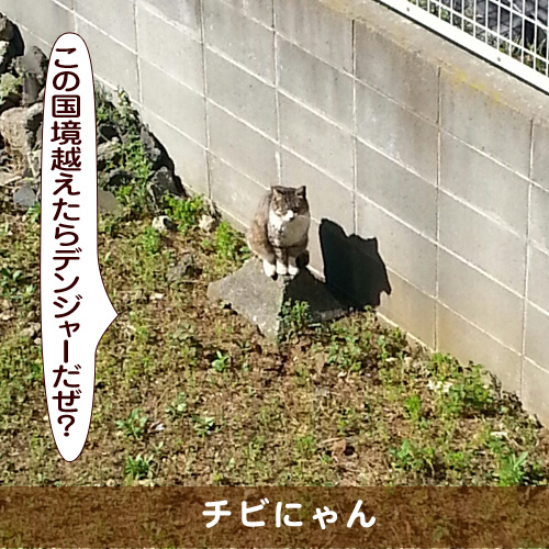 20161222_touko.jpg