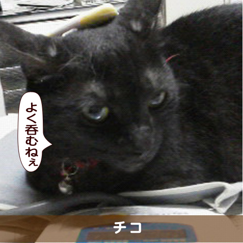 20161223_touko.jpg