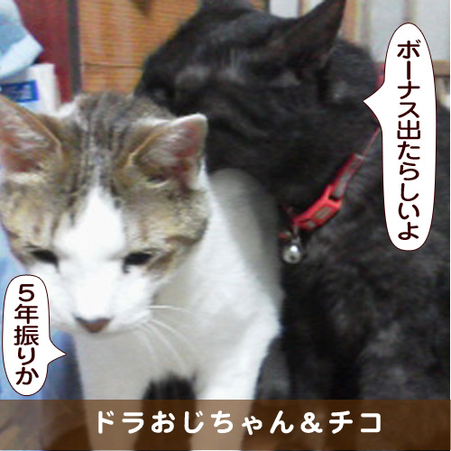 20161226_touko.jpg