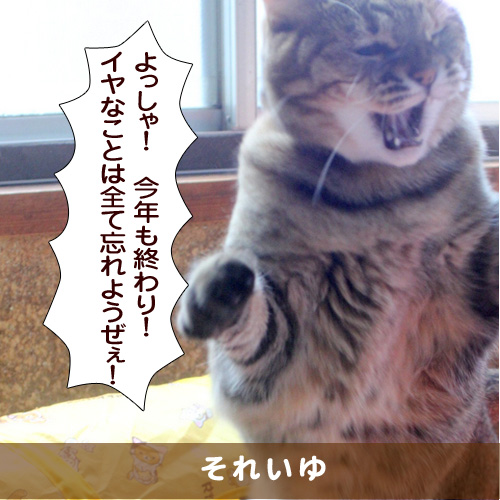20161230_touko.jpg