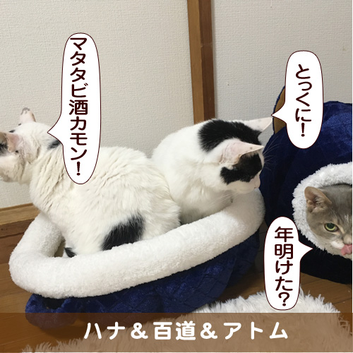 20170102_touko.jpg