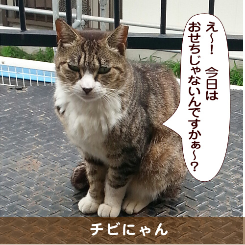 20170103_touko.jpg