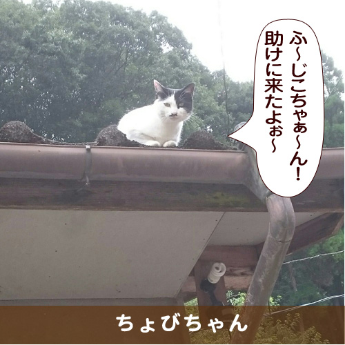 20170104_touko.jpg