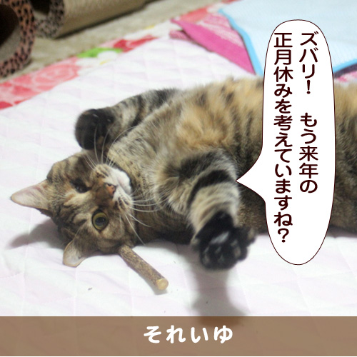 20170106_touko.jpg