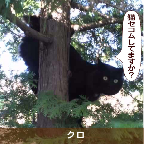20170107_touko.jpg