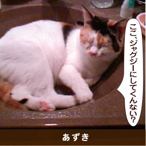 20170109_touko.jpg