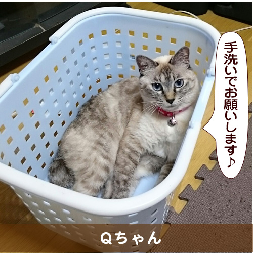 20170110_touko.jpg