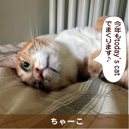 20170111_touko.jpg
