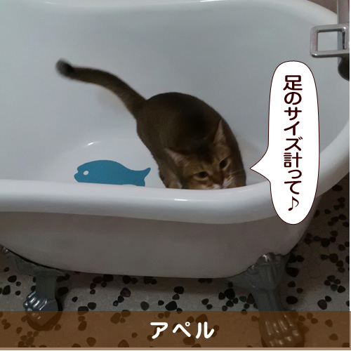 20170112_touko.jpg