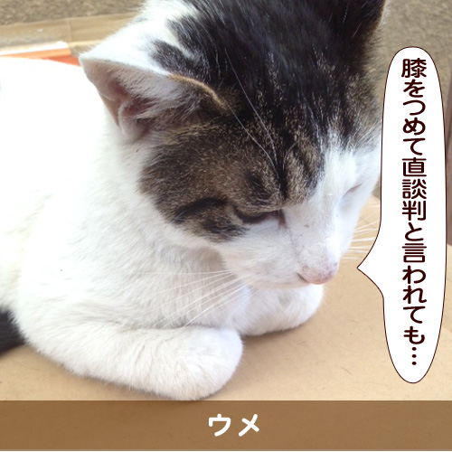20170114_touko.jpg