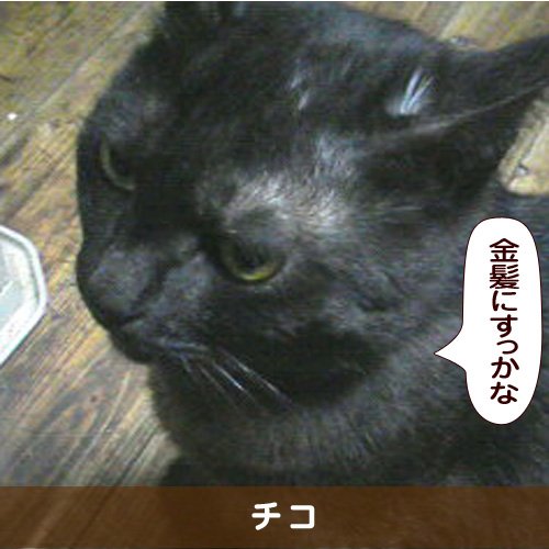 20170117_touko.jpg